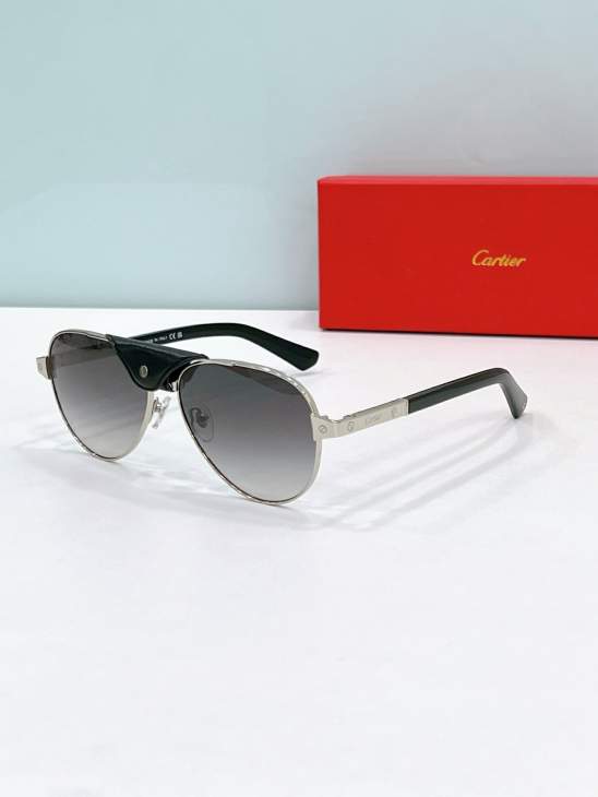 Picture of Cartier Sunglasses _SKUfw79566423fw